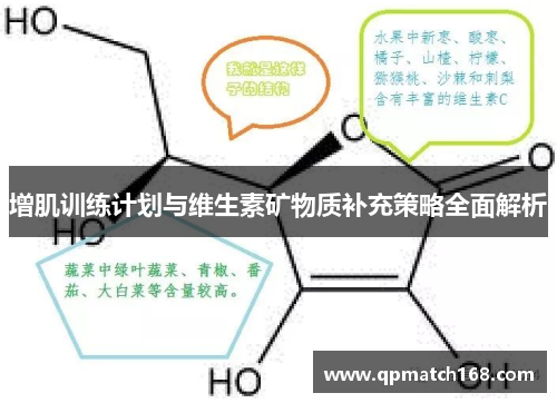 增肌训练计划与维生素矿物质补充策略全面解析